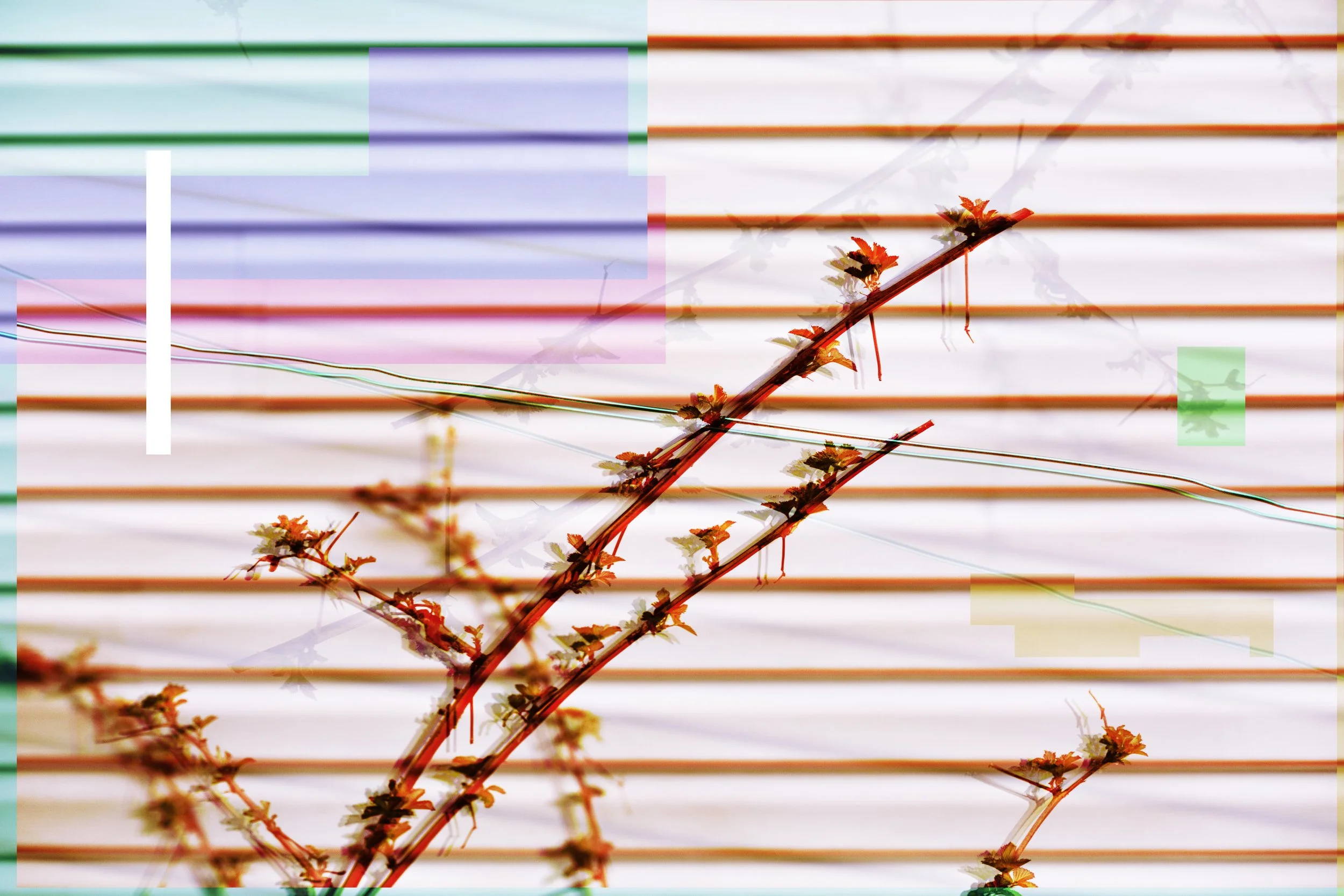 20150512 ABSTRACT PORTFOLIO 5.jpg