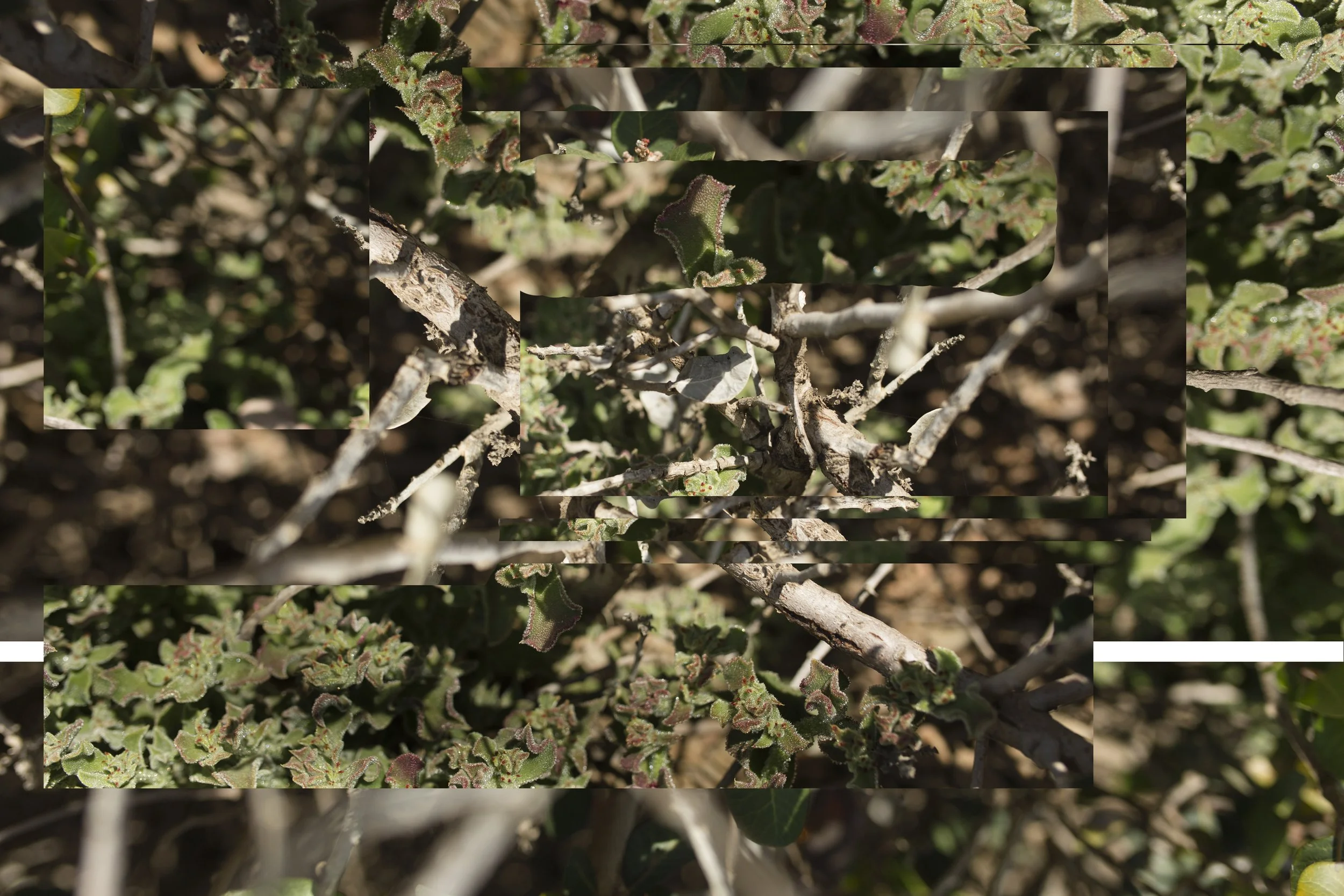 20150512 ABSTRACT PORTFOLIO 12.jpg