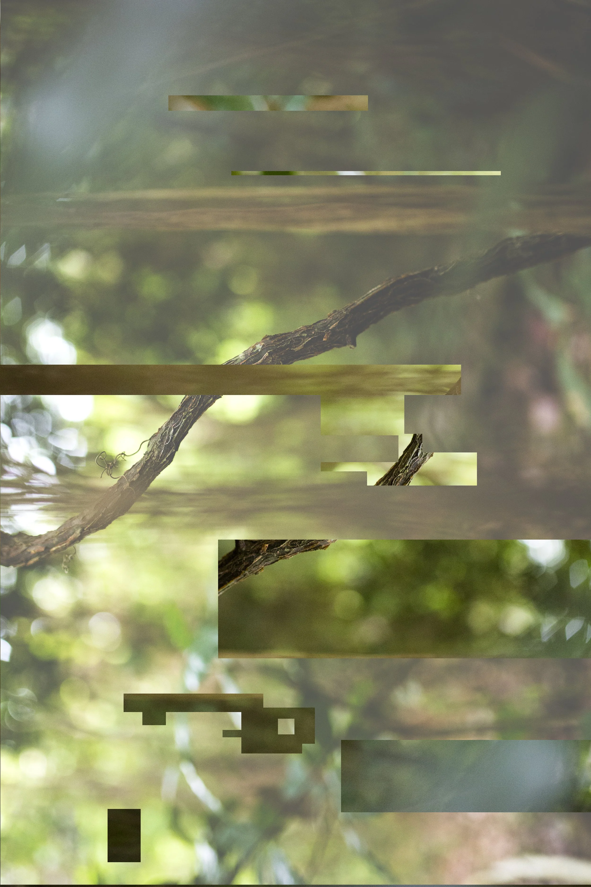 20150512 ABSTRACT PORTFOLIO 10.jpg