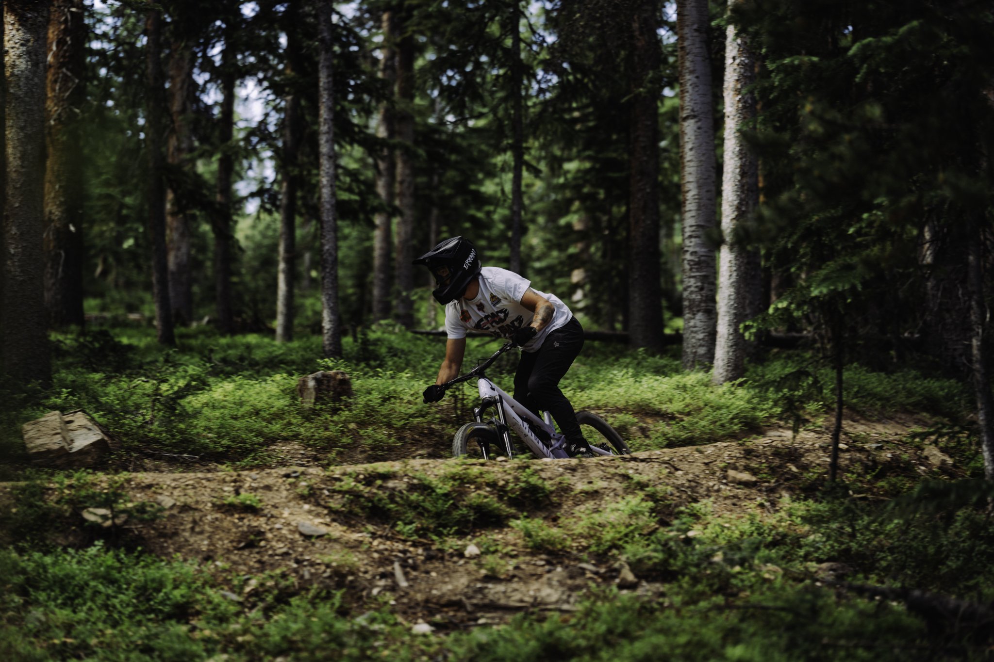 20250708 Trestle BTS 025.jpg