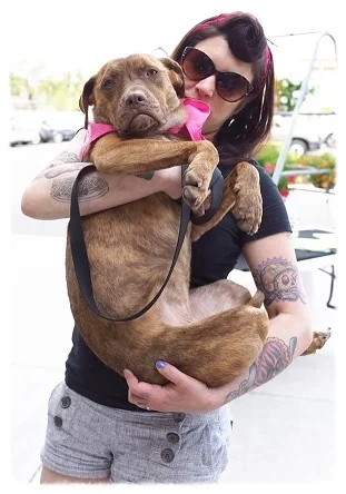 Ranise Coppens - President, ALIVE Rescue Memphis