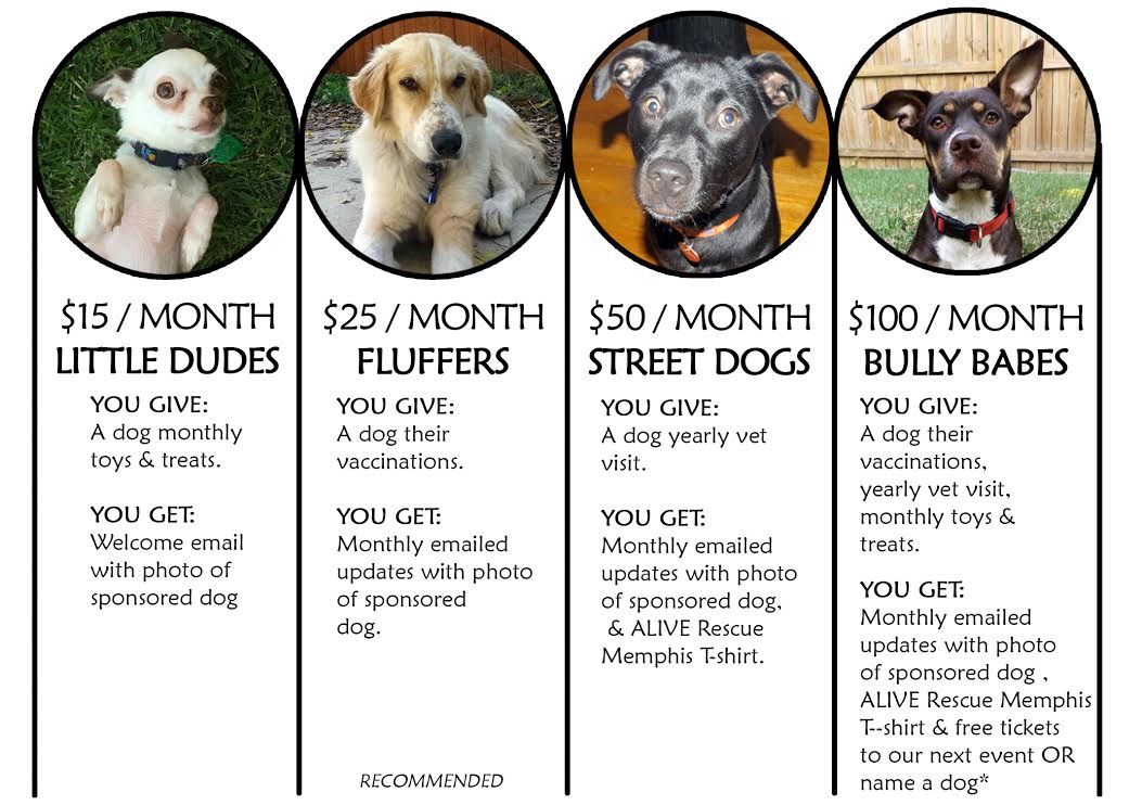 Sponsor one of ALIVE Rescue Memphis’s adoptable animals! Makes a great gift for animal lovers in your life! To register as a Pay it Paw-ward participant, browse our adoptable animals to choose your lucky recipient. Then fill in the information below and click the Subscribe button to set up your monthly recurring donation. If you are sponsoring an animal as a gift and you would like for us to notify the recipient on your behalf, please provide the gift recipient’s email address or physical address so we can notify him or her.