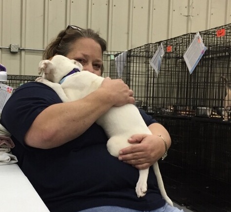 Cynthia-Board Member, Alive Rescue Memphis