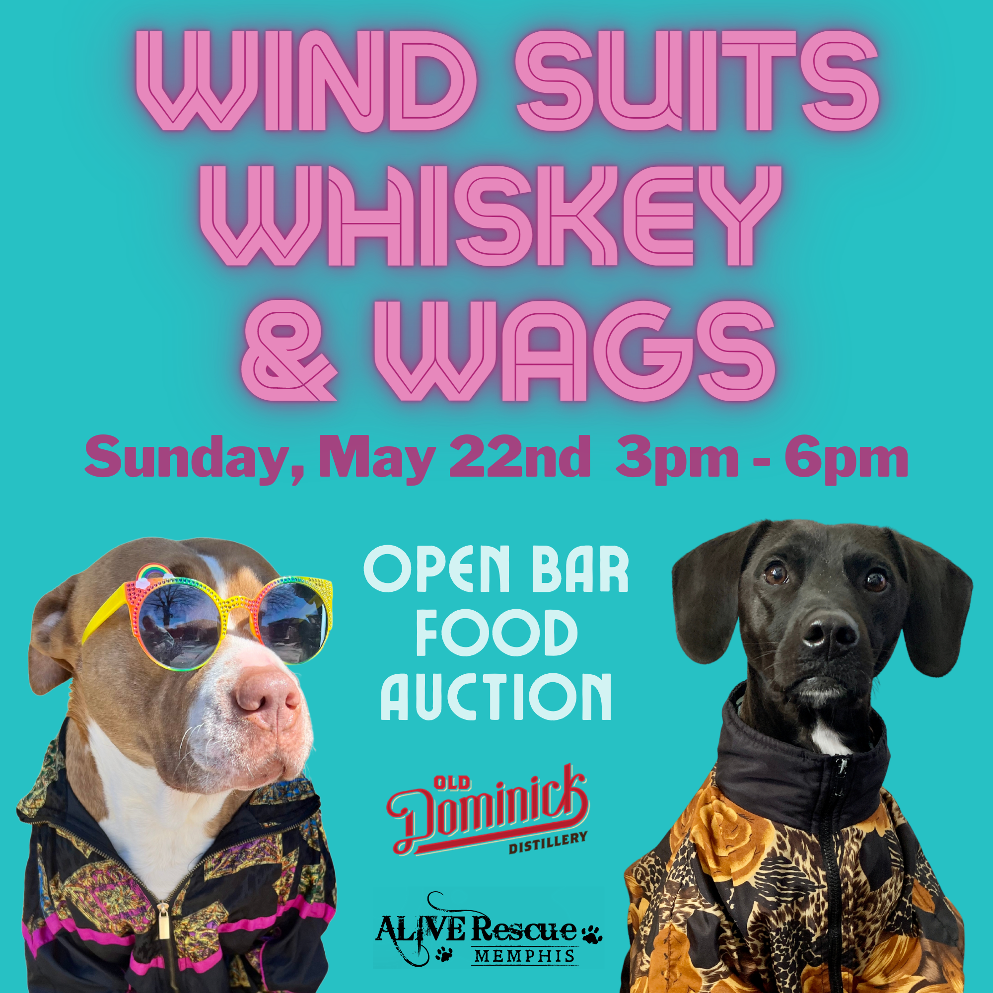 Wind Suits, Whiskey, and Wags