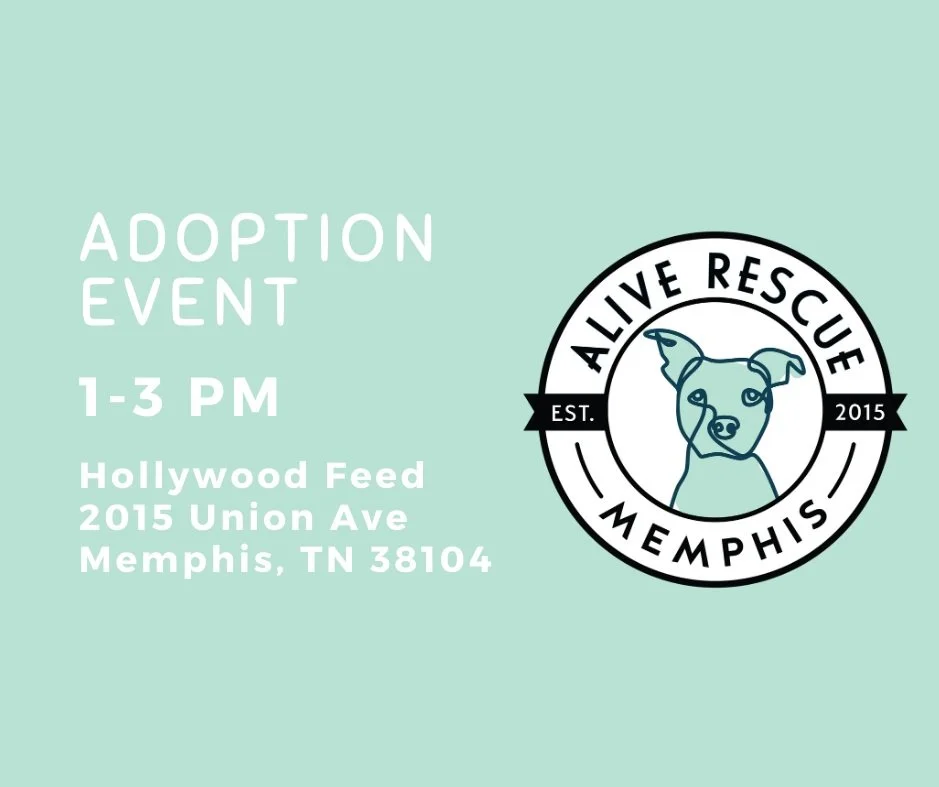 Adoption Event