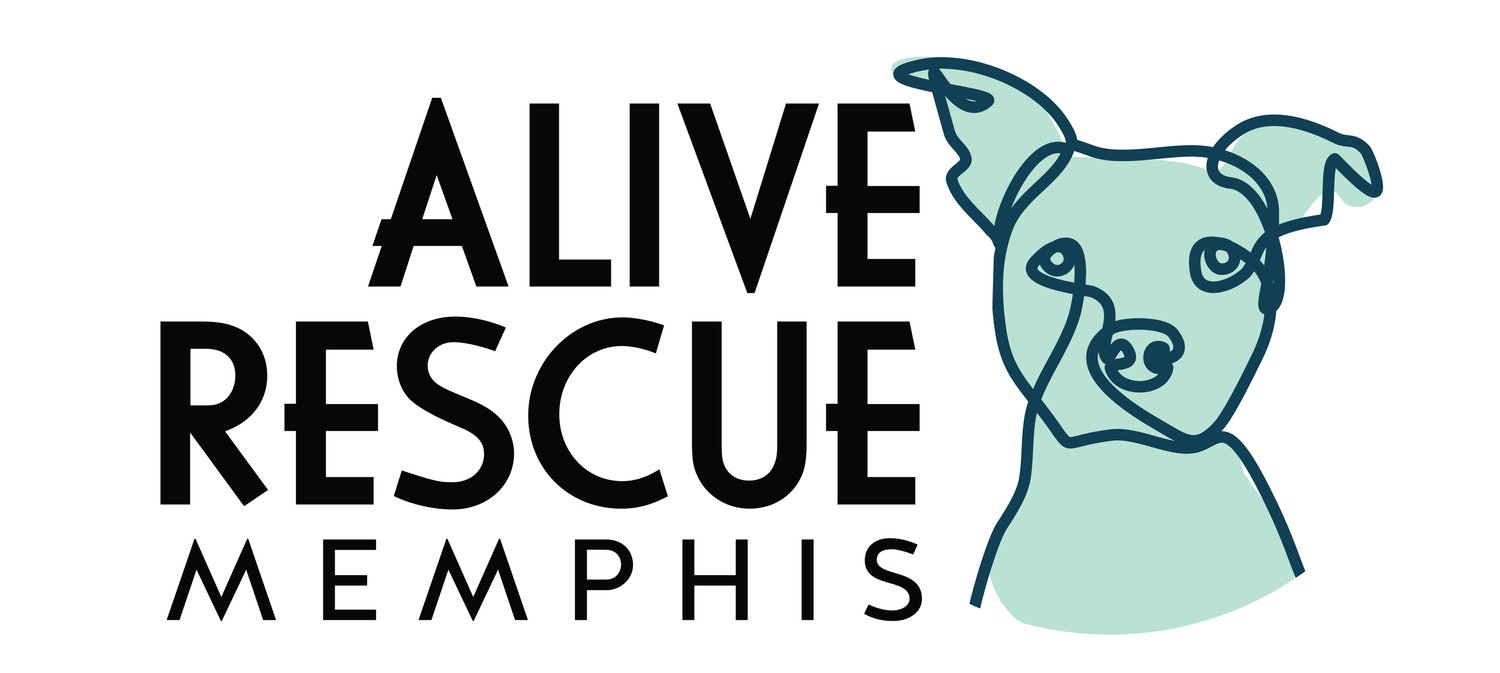 ALIVE Rescue Memphis