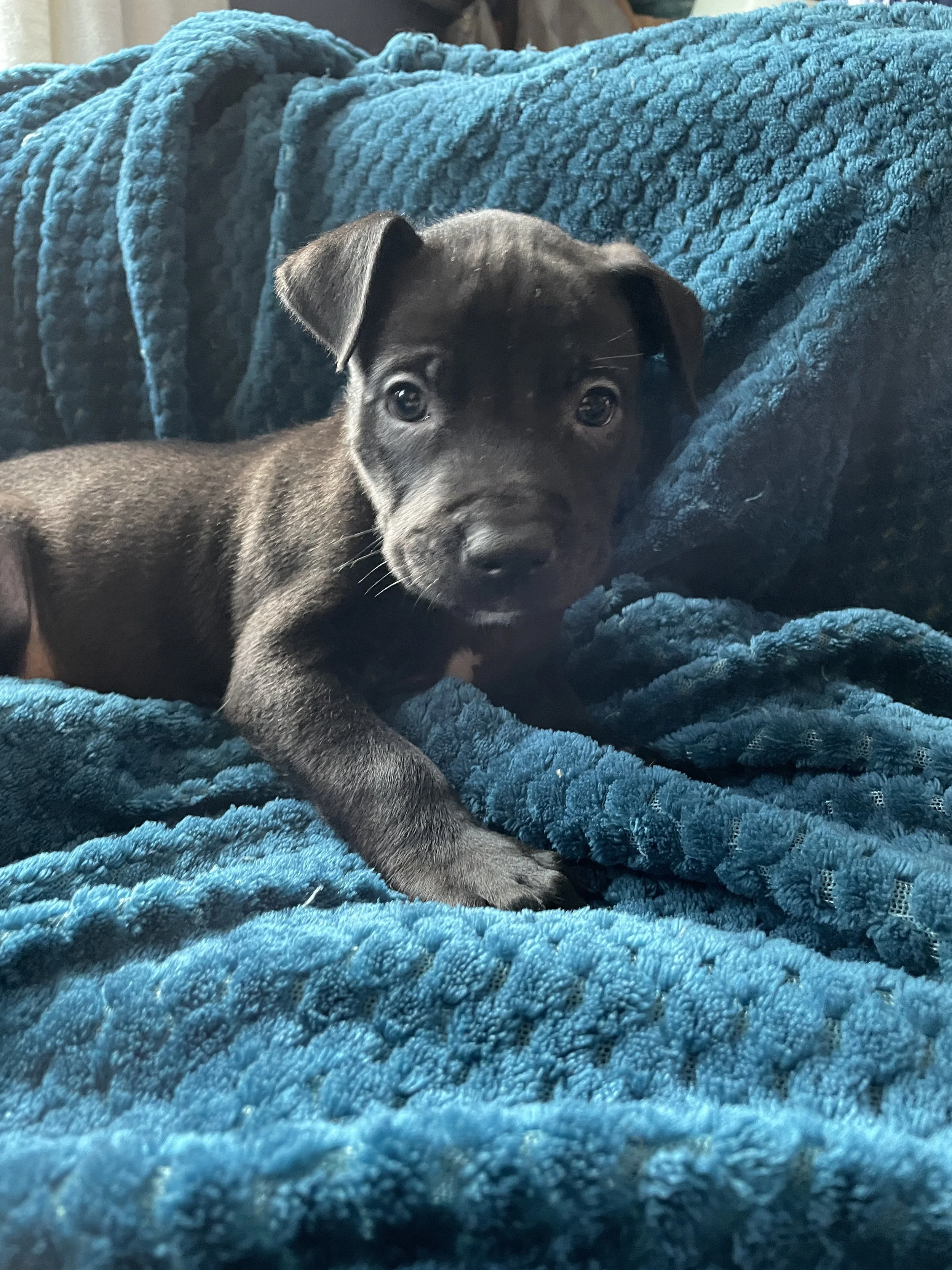 Photo Aug 26 2023, 12 36 17 PM.jpg