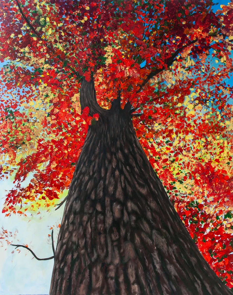 Maple Explosion LR-4.jpg