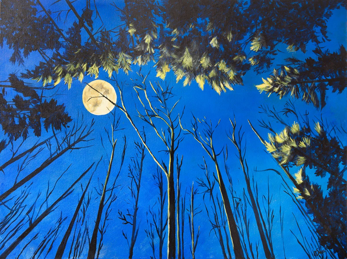 Moon shadows LR-6.jpg