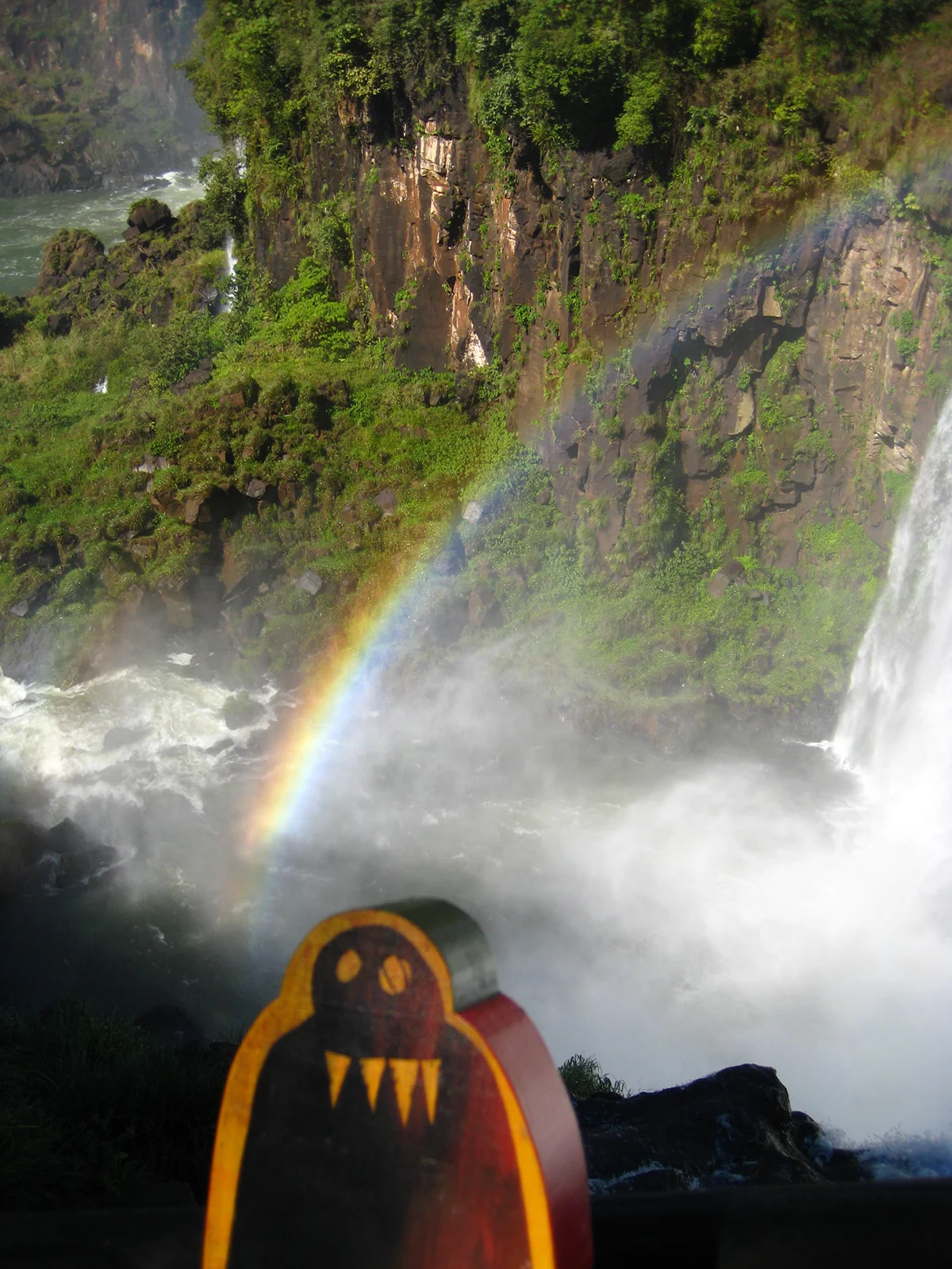 Yetti_in_iguazu_200820080712_2285.jpg