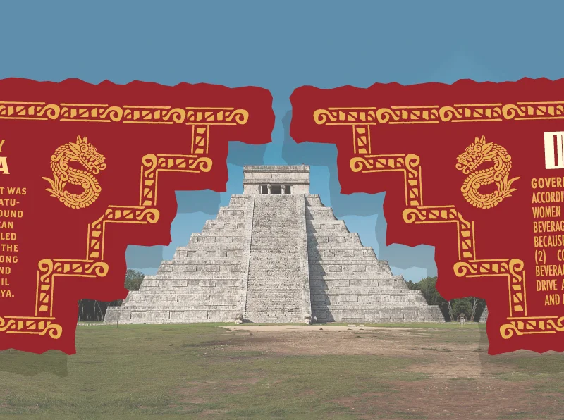4. This is the reason for the oddly shaped flaps. I wanted them to make the shape of a Mayan/Aztec pyramid (the one shown is at Chichén Itzá - from the video.) The pyramid shape is also depicted on the front above "1005 Blue Agave)