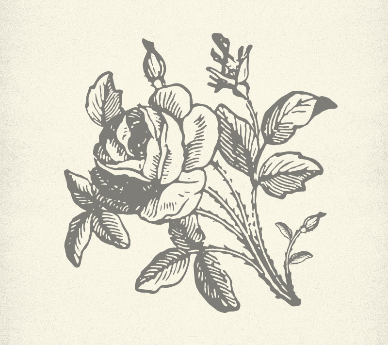 1. In this version of the illustration you will see that, although it works as positive on a light background, it does not produce a usable knockout for use on a dark background (applications such as the black awning - example in the last image of this page).