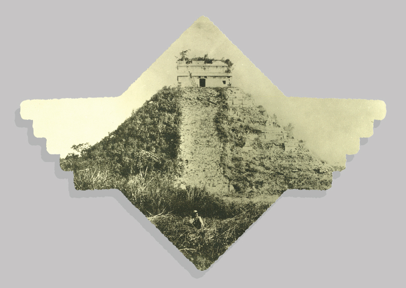 4. Back