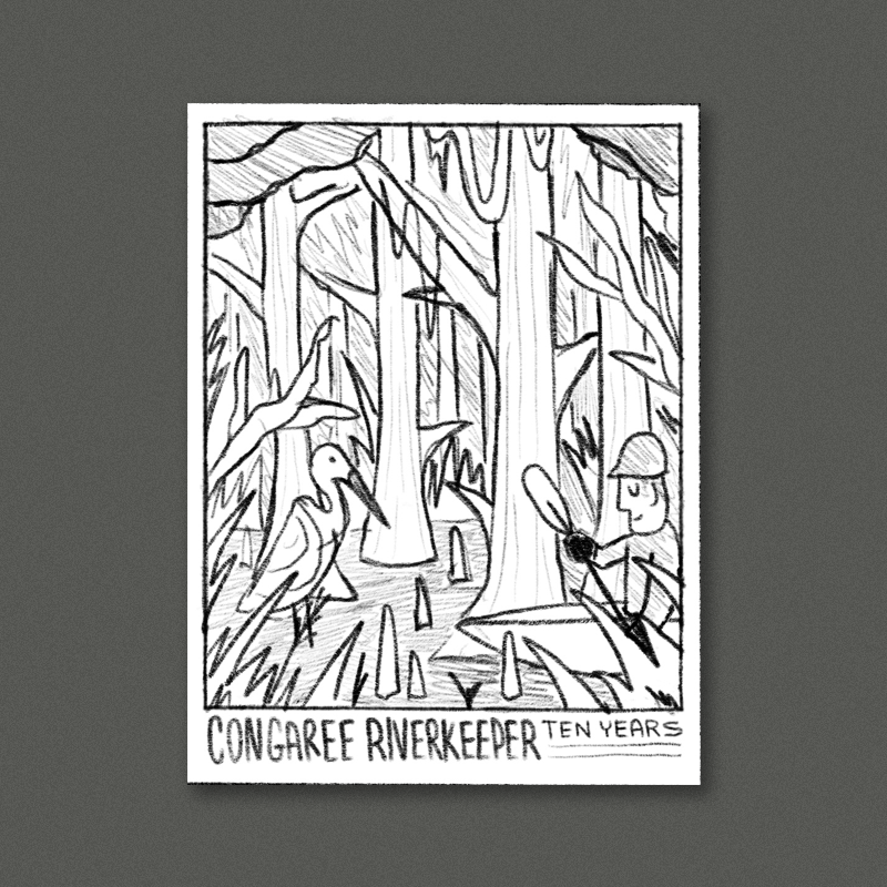 This direction is more focused on the creeks and swamps surrounding the river. A dense floodplain forest with a tangle of sawgrass and cypress. This concept has tons of spots to put little critters in - birds, snakes, squirrels, raccoons could all be tucked into the scene.