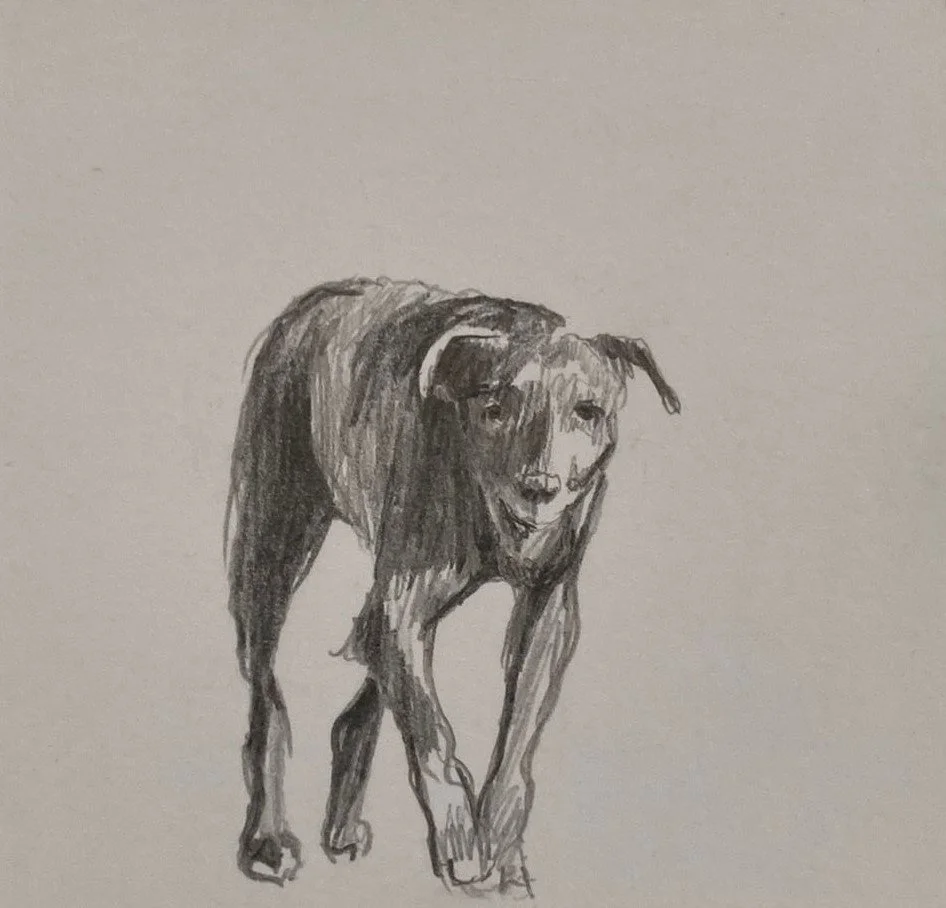 WhatsApp Image 2021-11-23 at 6.24.43 PM.jpeg