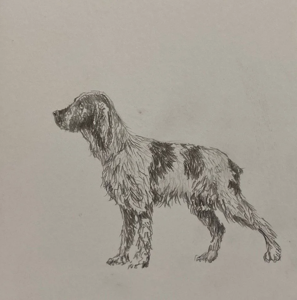 WhatsApp Image 2021-11-23 at 6.24.37 PM.jpeg