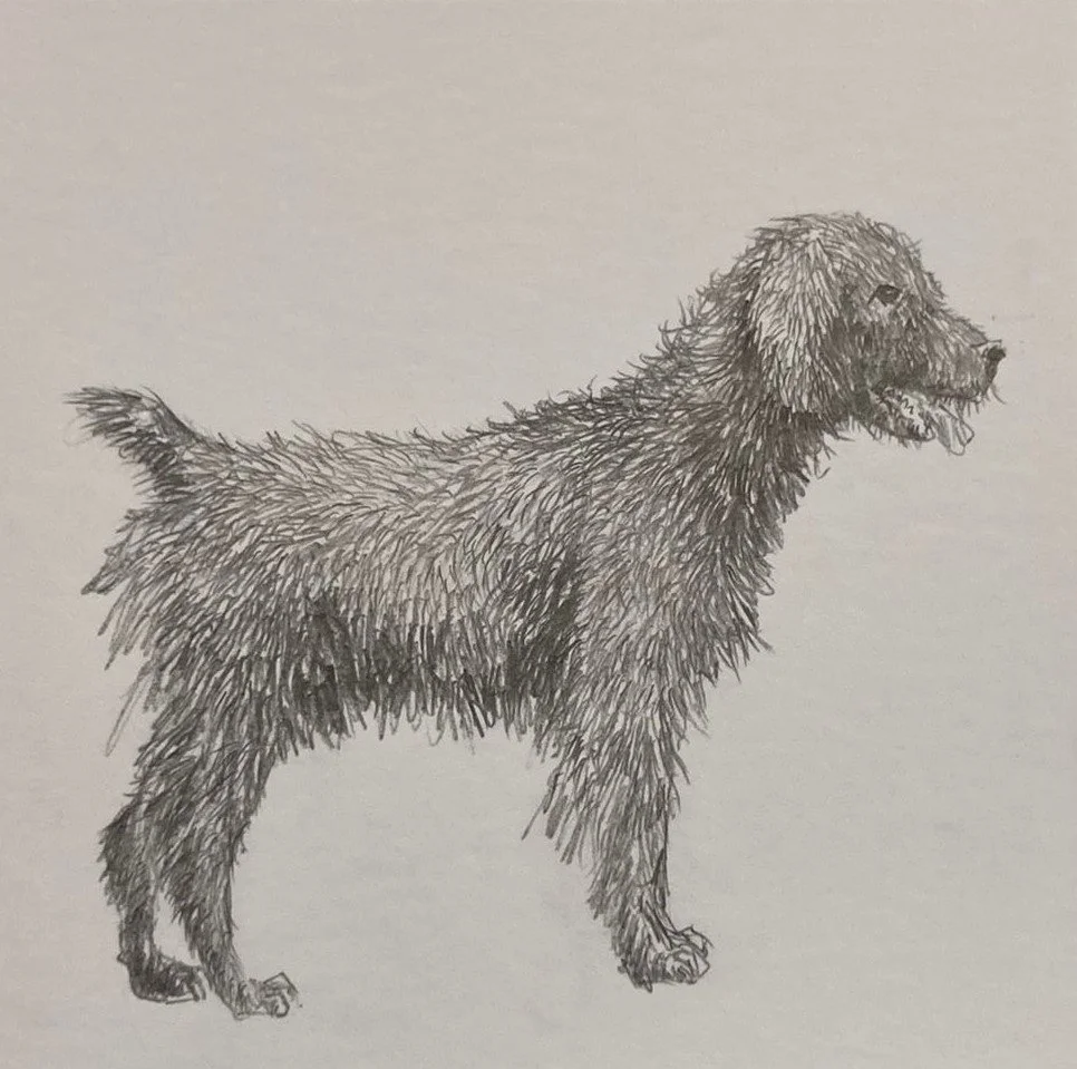 WhatsApp Image 2021-11-23 at 6.24.38 PM (1).jpeg