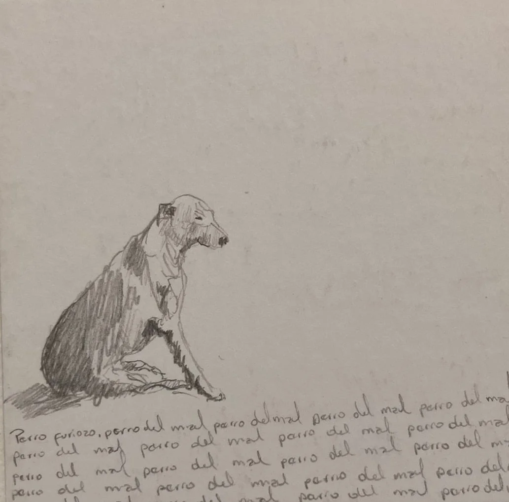 WhatsApp Image 2021-11-23 at 6.24.39 PM.jpeg