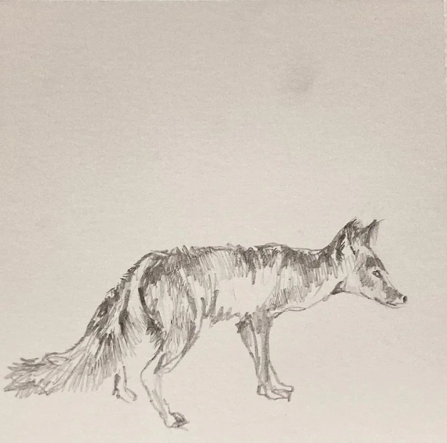 WhatsApp Image 2021-11-23 at 6.24.40 PM.jpeg