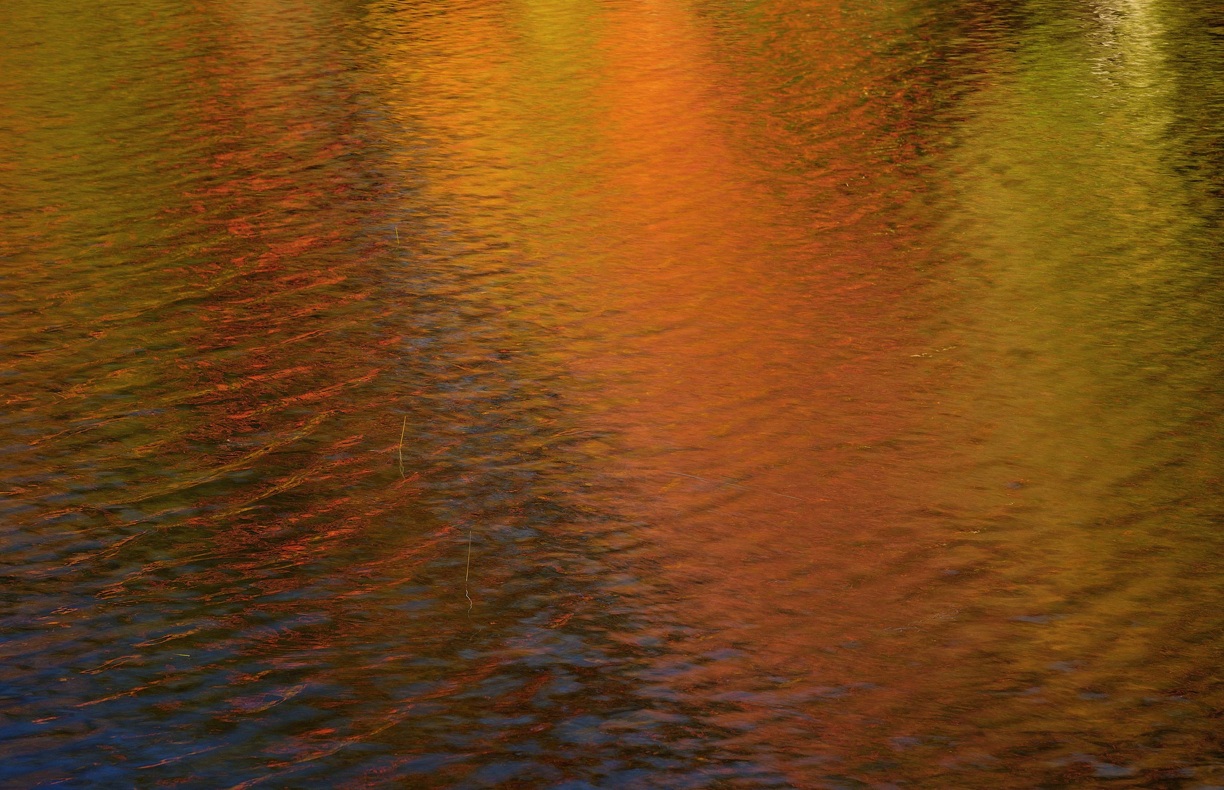 Reflejos | Fotografía Digital | 67 x 81 cm
