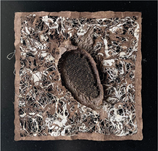 Alessandra Sequeira | “Sabiduría ancestral I” | Mixta | 55 x 55 cm | 2026 | $1200 i.v.i