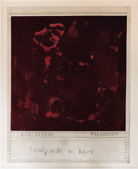 Priscilla Monge | "El corazón de un libro" | Impresión digital y óleo  sobre papel de archivo de algodón | 85 x 68 cm | $10000