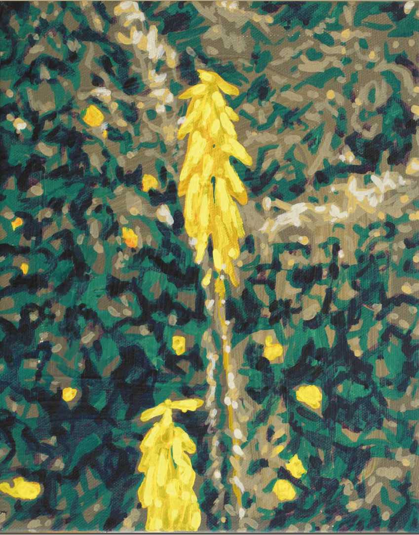 Luciano Goizueta | “15 km II!” | Acrílico sobre canva | 30 x 20 cm | 2025