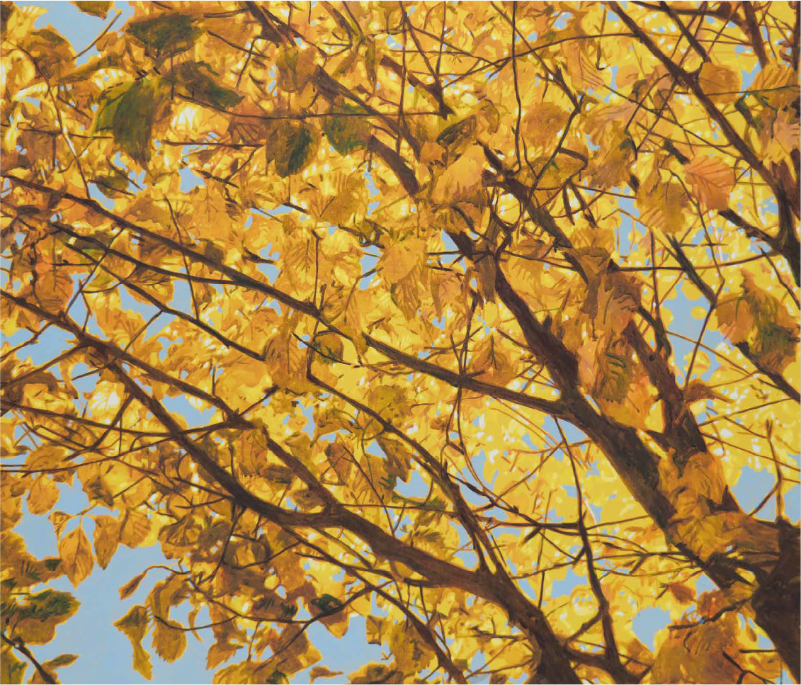 Luciano Goizueta | “9360 km” | Acrílico sobre canva | 125 x 147 cm | 2025