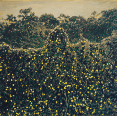 Luciano Goizueta | "15 km II (Calle la Ciénaga)" | Acrílico sobre canva | 70 x 90  cm | 2025 | $2000