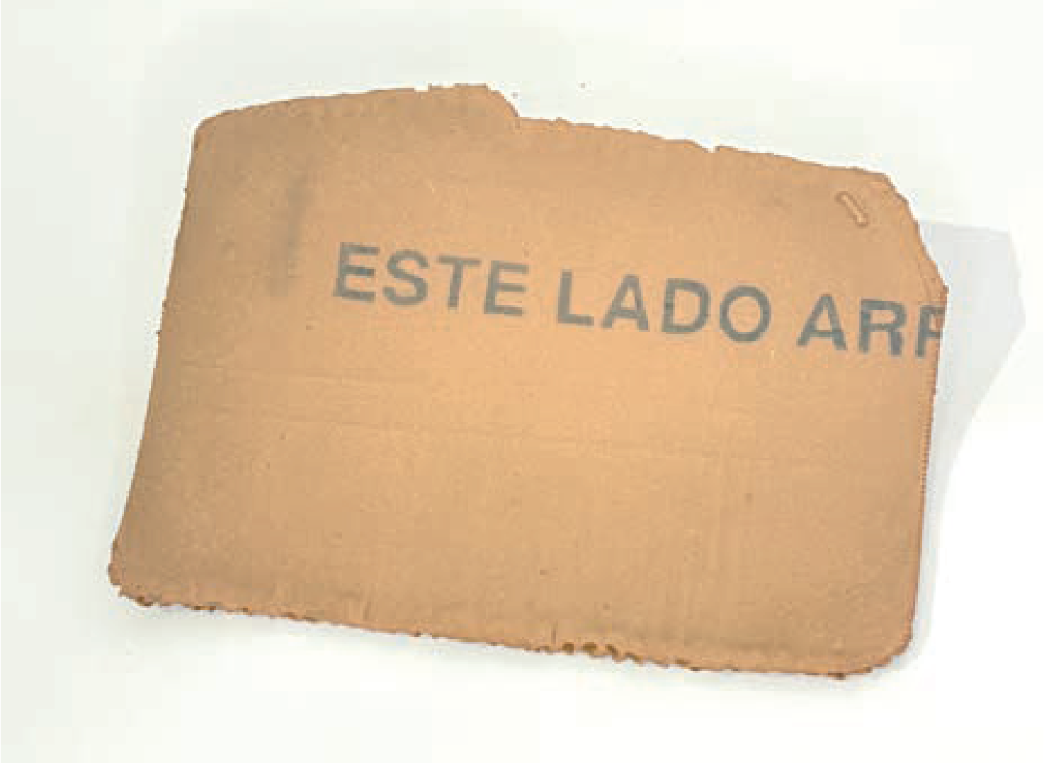 Priscilla González | “Fragmento 8” Cerámica (pasta de papel, arcilla amarilla chamote medio y alta temperatura) 2.5 x 24 x 16.5 cm | SOLD