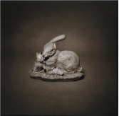 Jorge Chavarría | “Serie: Ternura / Ruptura” | Fotografía digital / Kallitype, entonado en oro, sobre papel algodón libre de ácidos | 12 x 12 pulg $450 + i.v.a