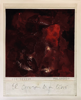 Priscilla Monge | “El corazón de un libro” | Impresión digital y óleo sobre papel archivístico de algodón | 85 x 68 cm | 2026 | $10 000 + i.v.a