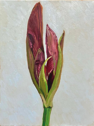 Alina González | “Lirio” de la serie: Poema para una mujer que renace” | Óleo sobre lienzo | 60 x 49 cm | 2026 | $4 000 + i.v.a