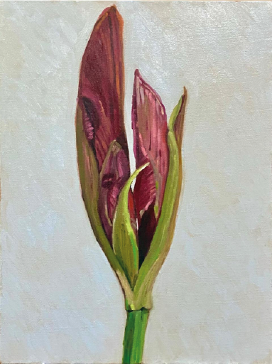 Alina González | “Lirio” de la serie: Poema para una mujer que renace” | Óleo sobre lienzo | 60 x 49 cm | 2026 | $4 000 + i.v.a 
