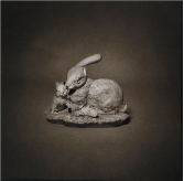 Jorge Chavarría | “Serie: Ternura / Ruptura”, Ed. 1/7 | Fotografía digital / Kallitype, entonado en oro, sobre papel algodón  | 30,5 x 30,5 cm $450 + i.v.a