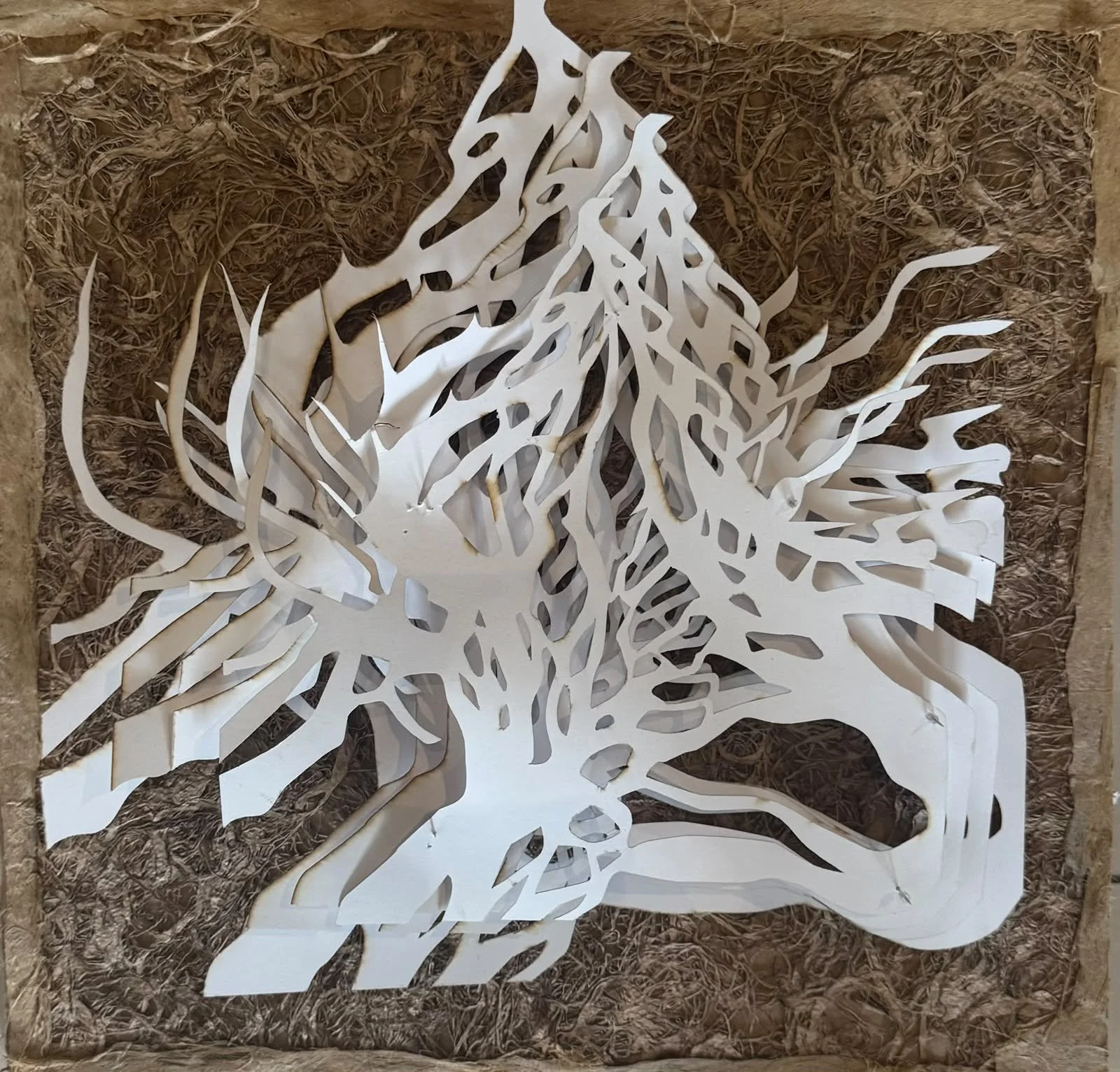 Sin título | Papel de amate con papel modelado hecho a mano | 42 x 42 cm | 2026 