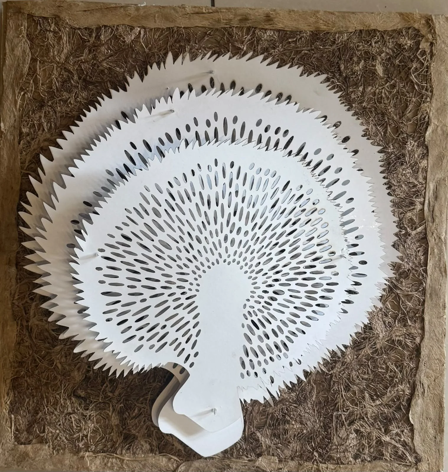 Sin título | Papel de amate con papel modelado hecho a mano | 42 x 42 cm | 2026 