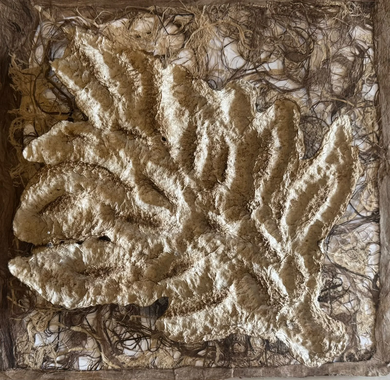 Sin título | Papel de amate con papel modelado hecho a mano | 42 x 42 cm | 2026 