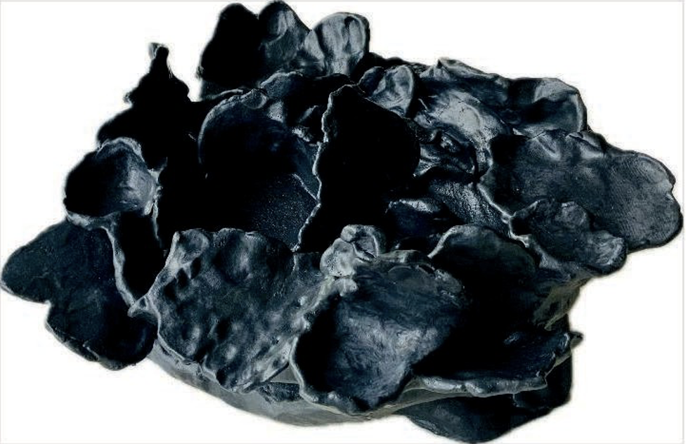 De la serie “Magnolias negras” | Cerámica baja temperatura | 2026