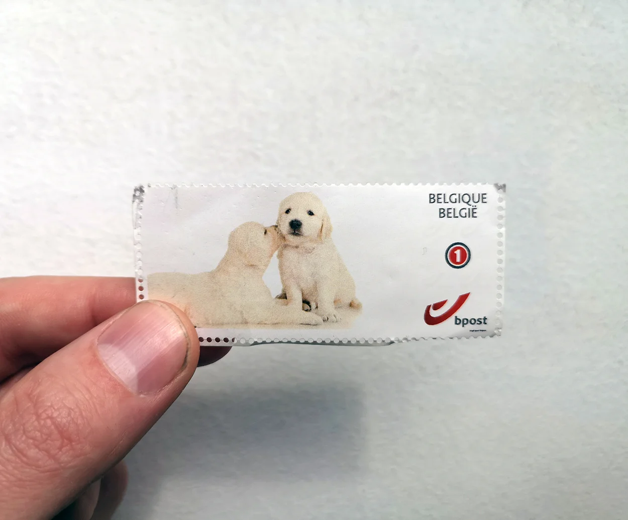 Stamp.jpg