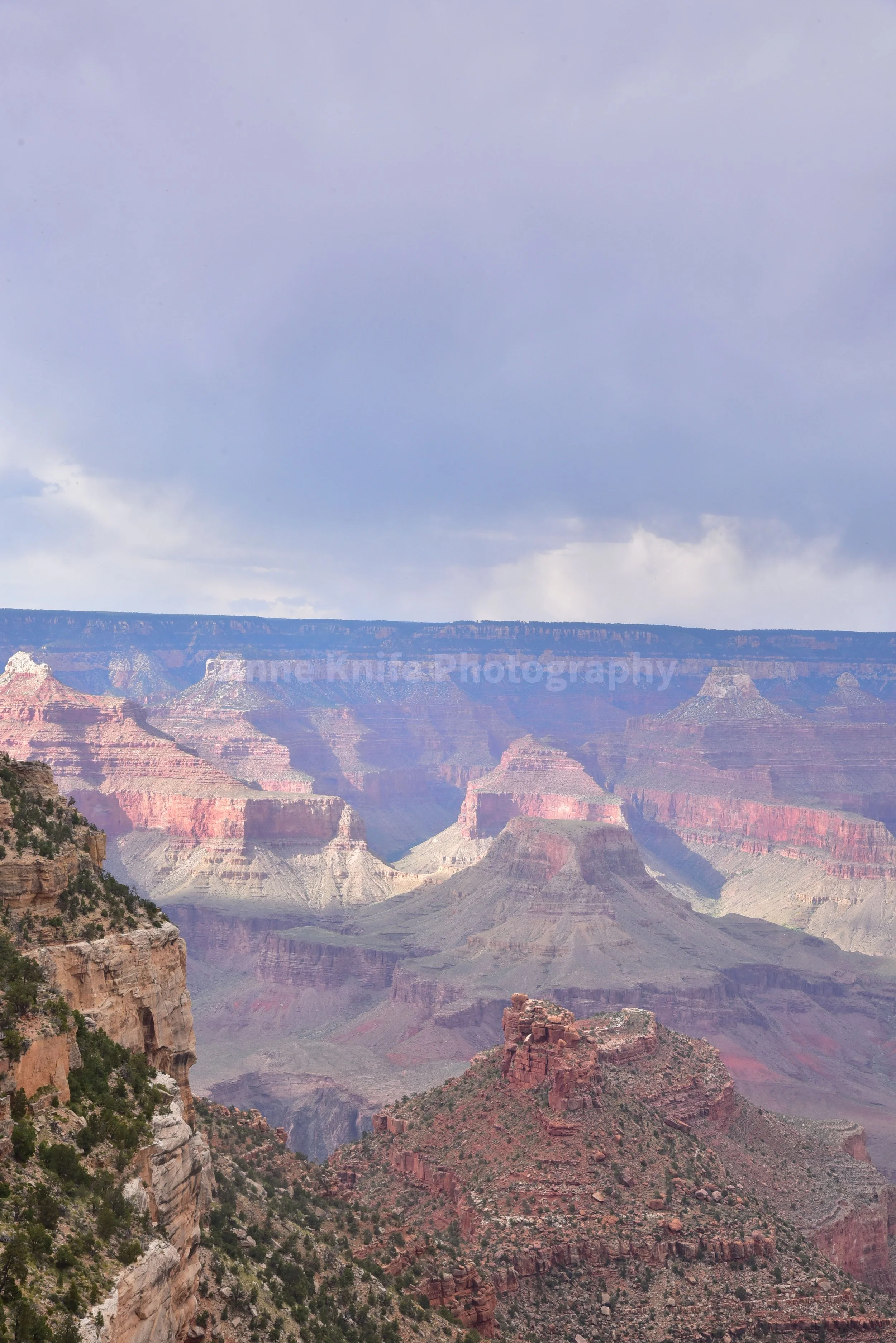 DSC_8158-watermarked.jpg