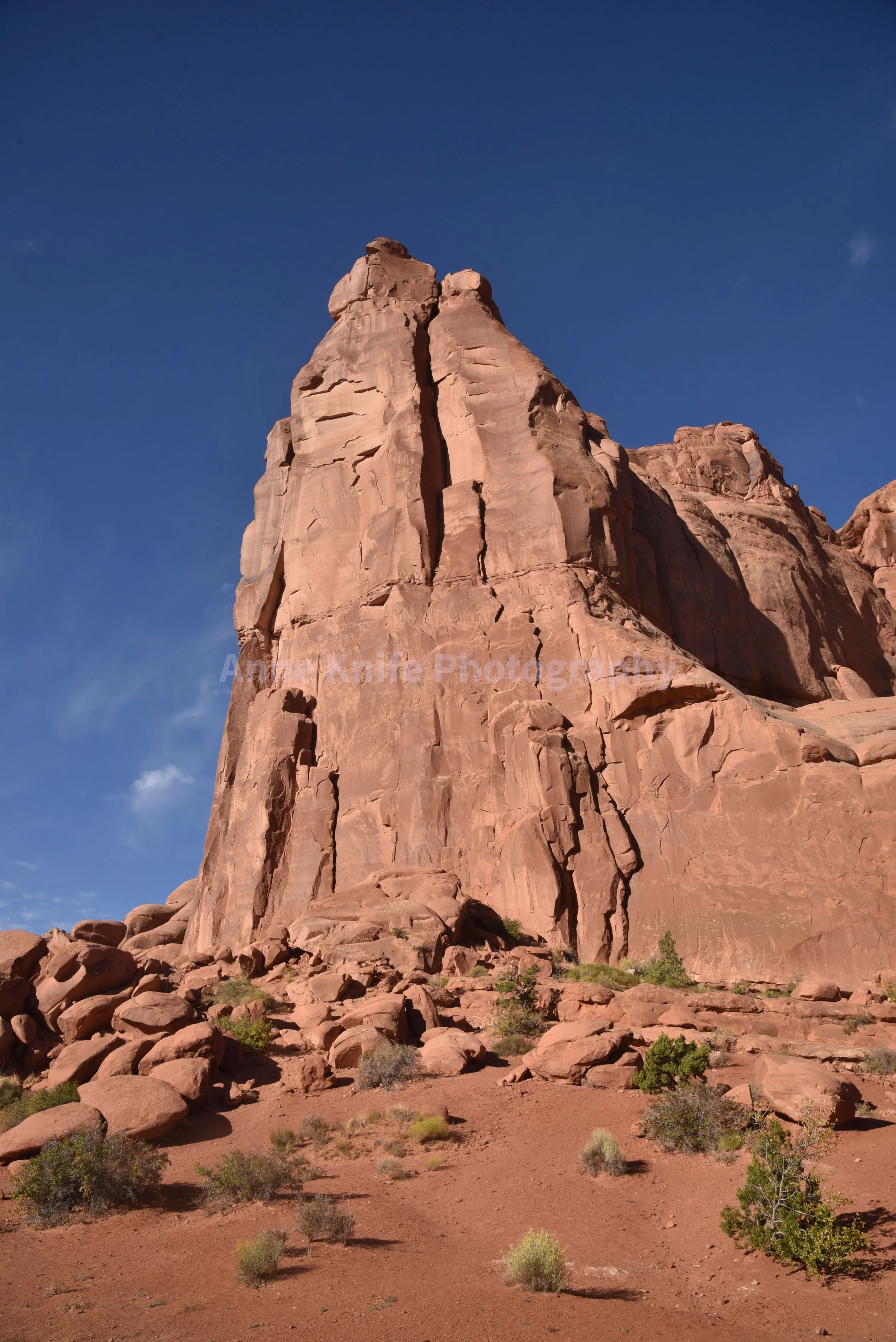 DSC_9124-watermarked.jpg