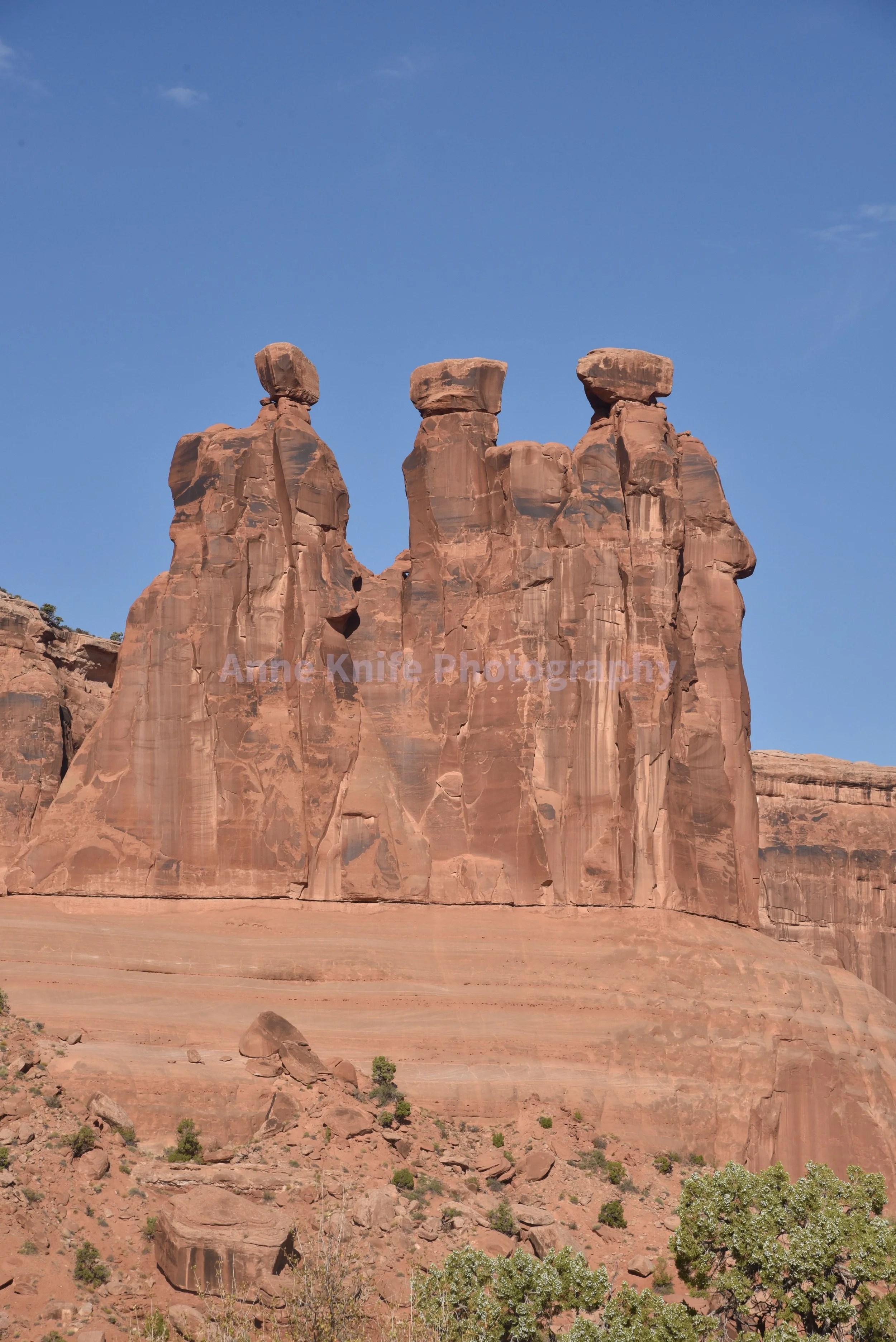 DSC_9129-watermarked.jpg