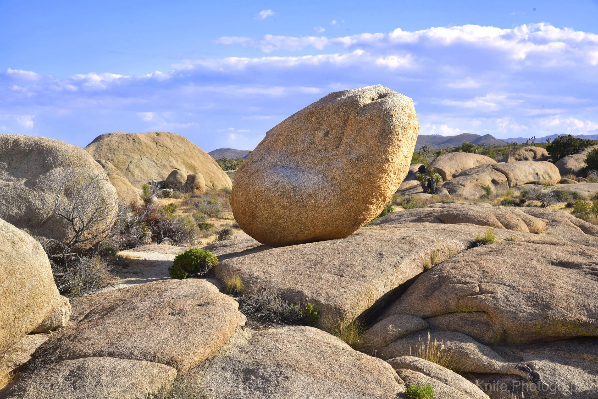 The Rock-2 &-watermarked.jpg