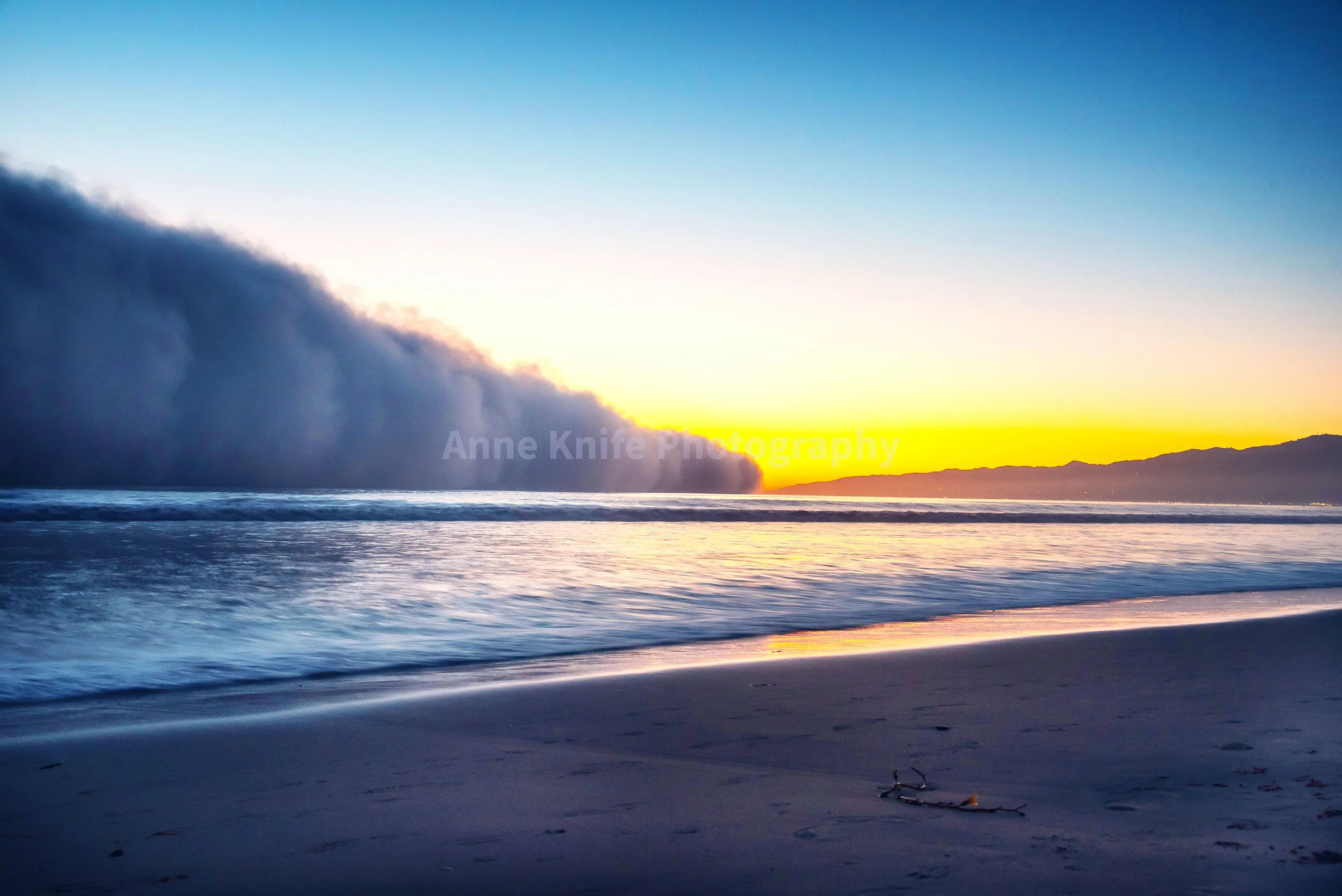 Fog #1-watermarked.jpg