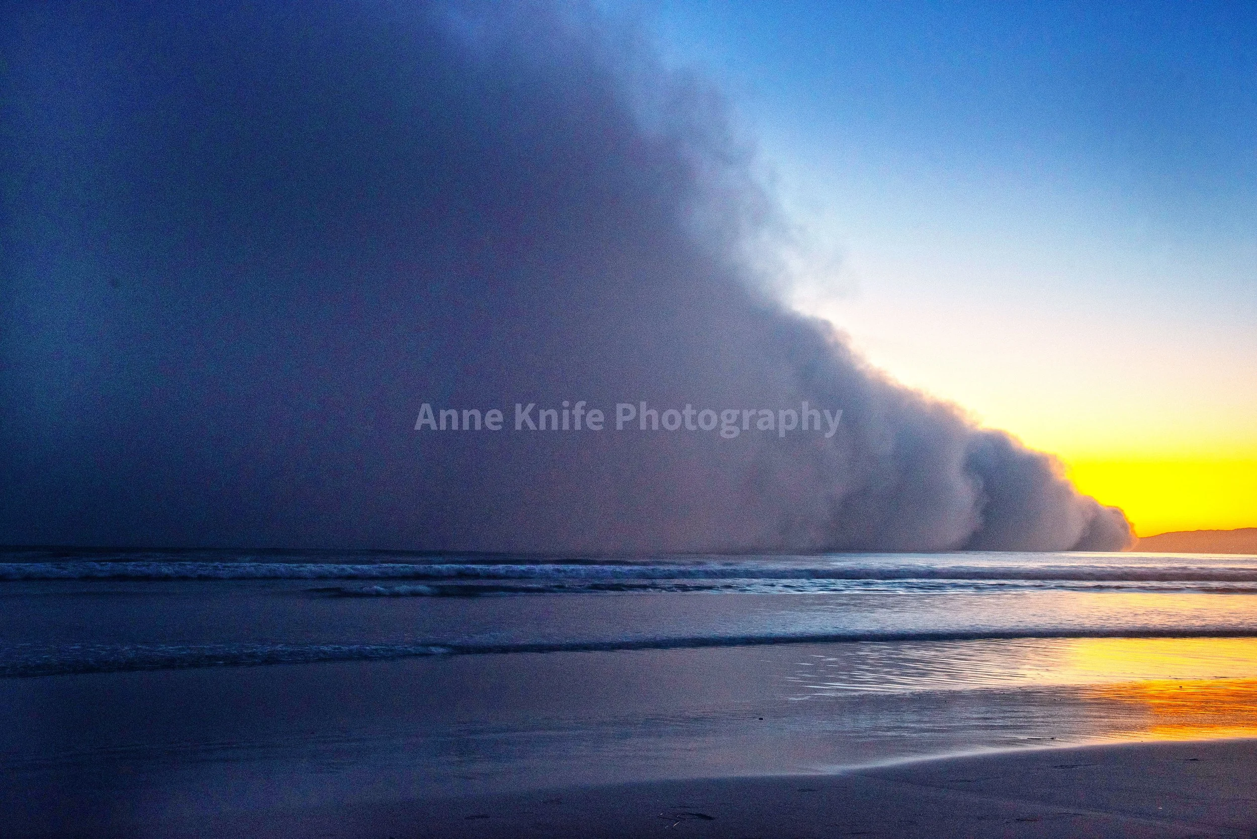 Fog #2-watermarked.jpg