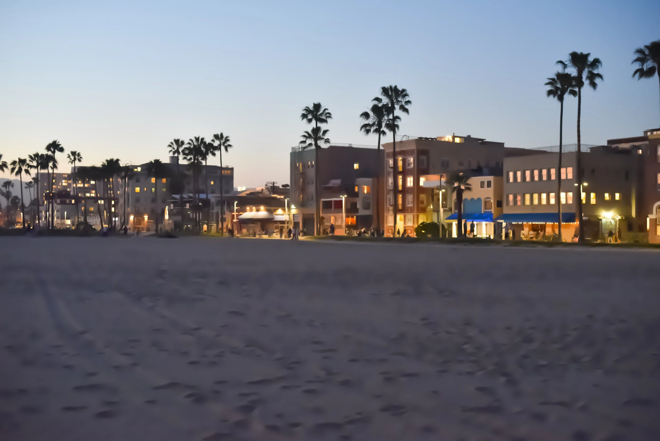 2020_05_03_Venice_beach shots_Quarantine_Corona Virus_Anne Knife Photography_-21.jpg