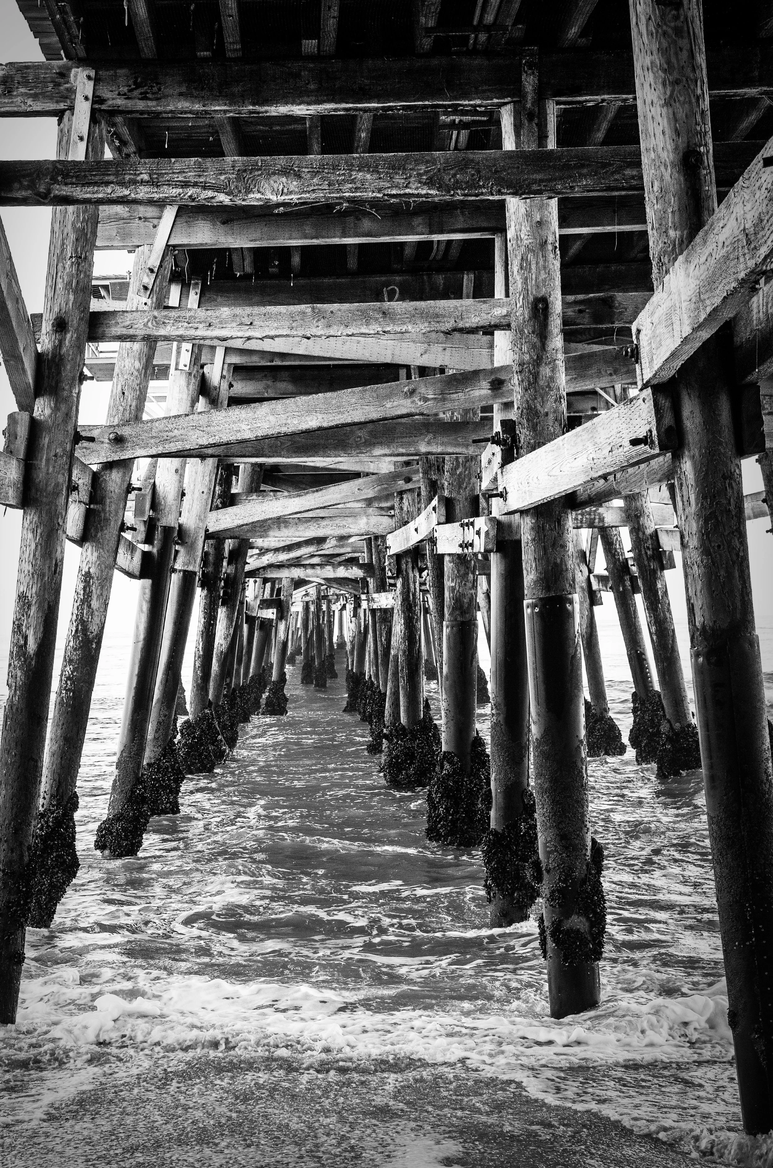 san clemente under pierbl n wht.jpg