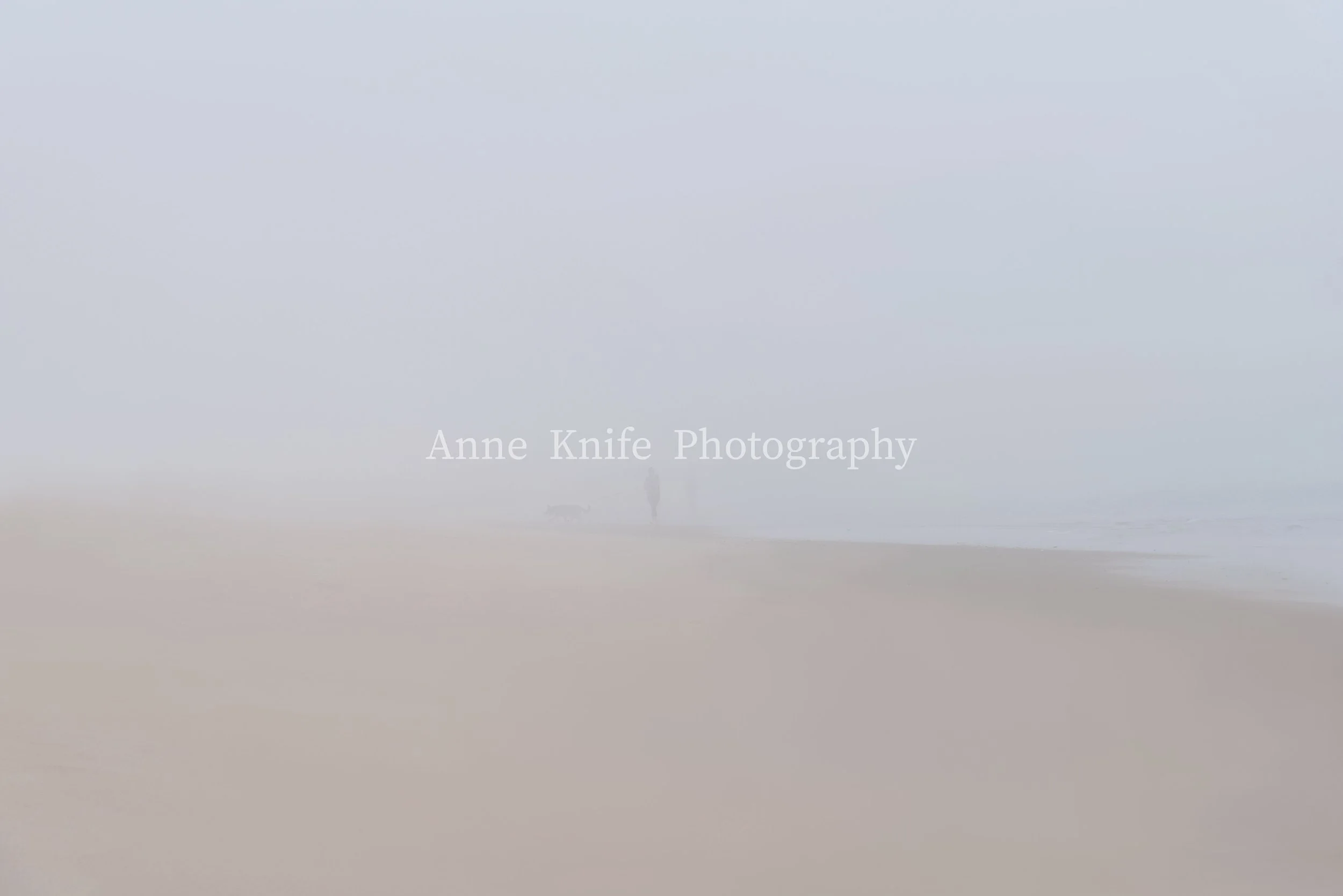 The Shadow Fog-watermarked.jpg