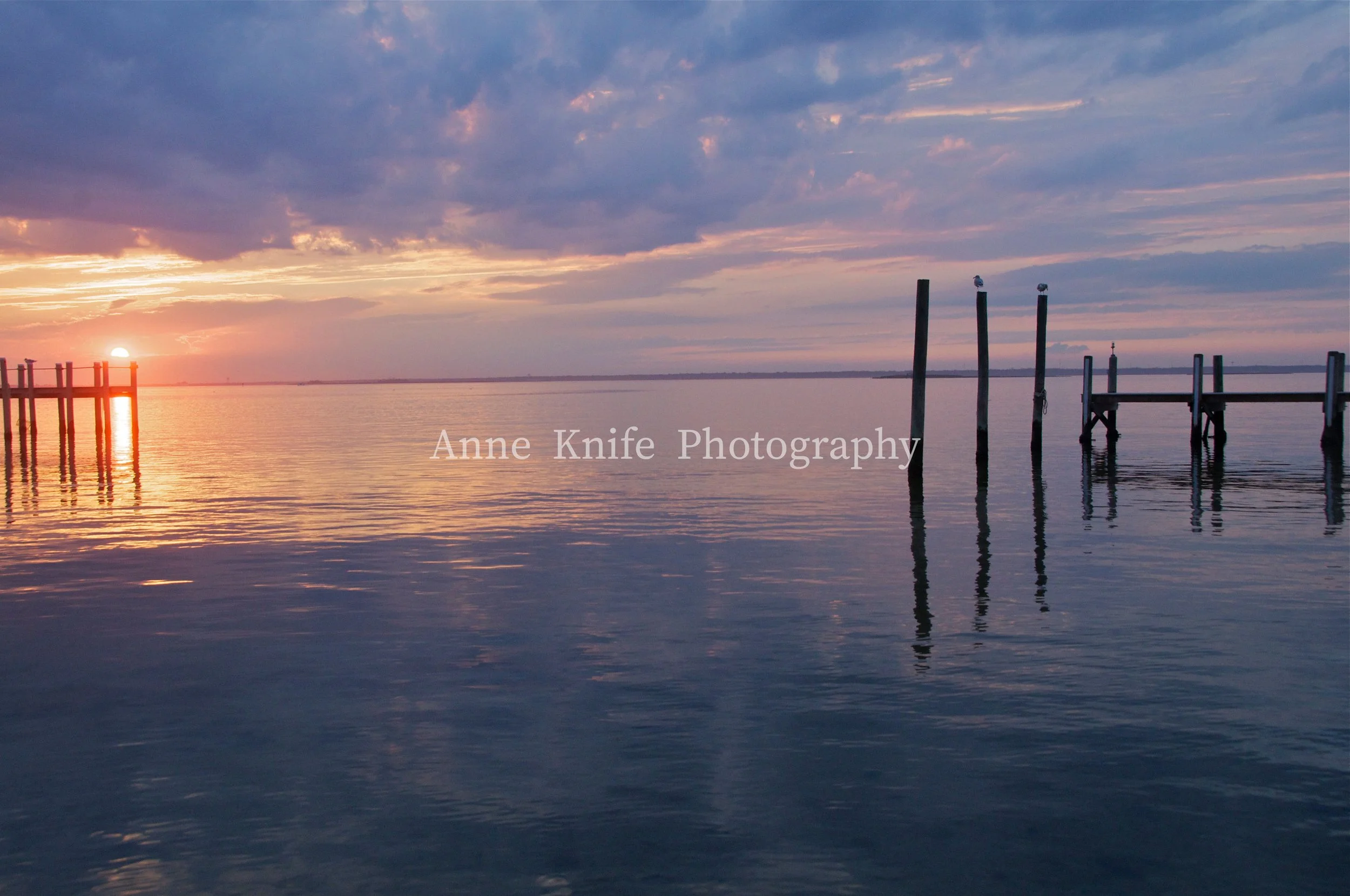 DSC_0593 2-watermarked.jpg